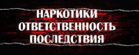 «Наркотики. Ответственность. Последствия»: республиканская информационная акция проходит в Бобруйске