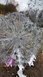 🪻Вы уже видели новый арт-объект возле Бобруйского механико-технологический колледжа?