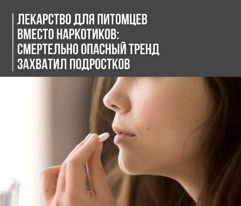 Лекарство для питомцев вместо наркотиков: смертельно опасный тренд захватил подростковВ сети набирает популярность смертельно опасное увлечение среди подростков — употребление ветеринарного препарата с содержанием габапентина для получения наркотического 